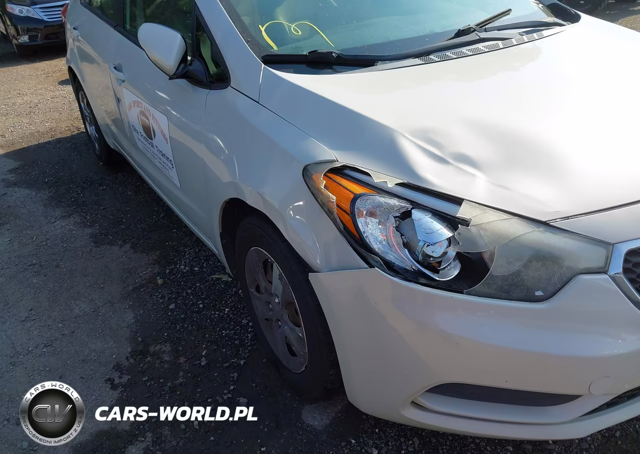 2014 Kia Forte Lx VIN:KNAFK4A60E5178125 - 6
