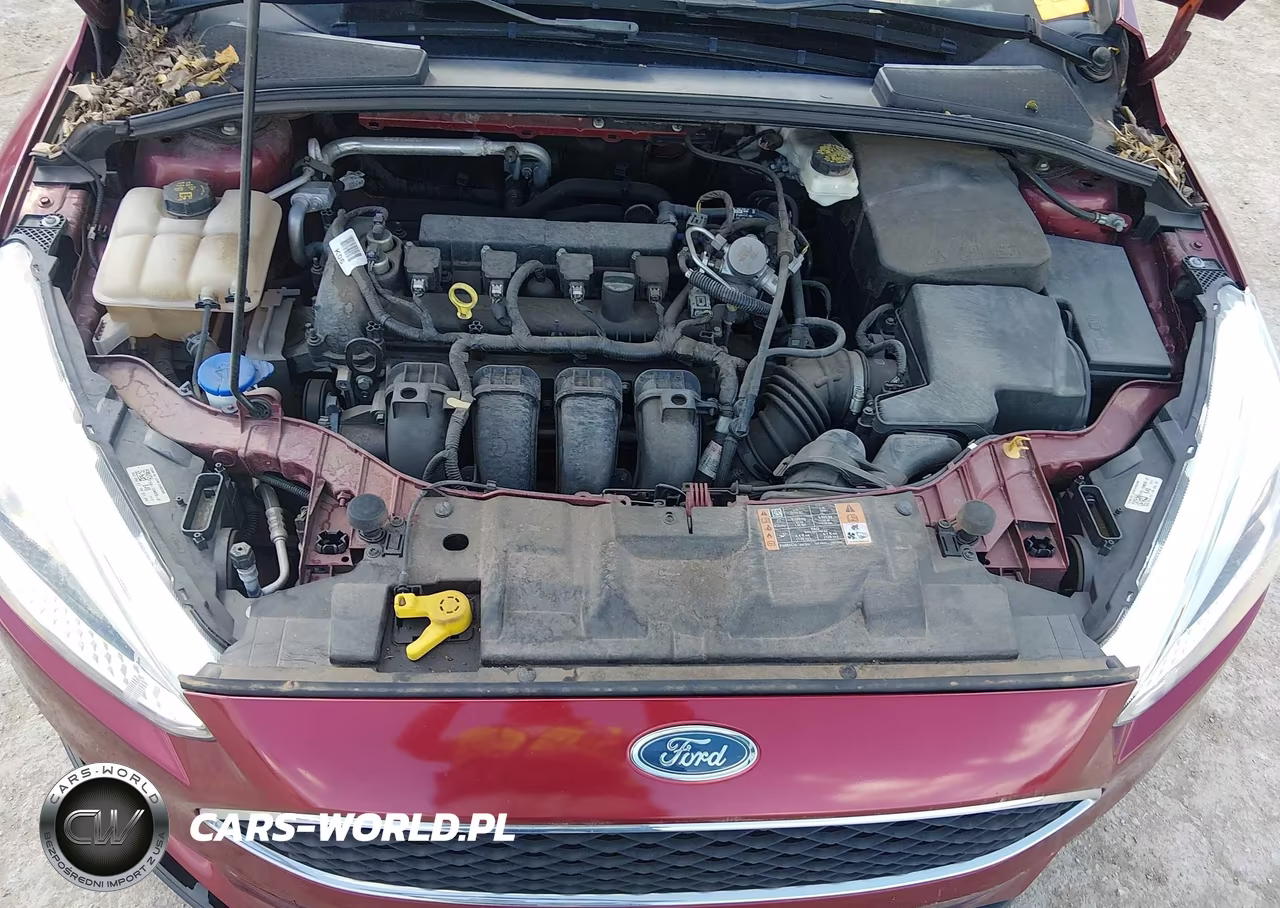 2017 Ford Focus Se VIN:1FADP3F26HL253993 - 10
