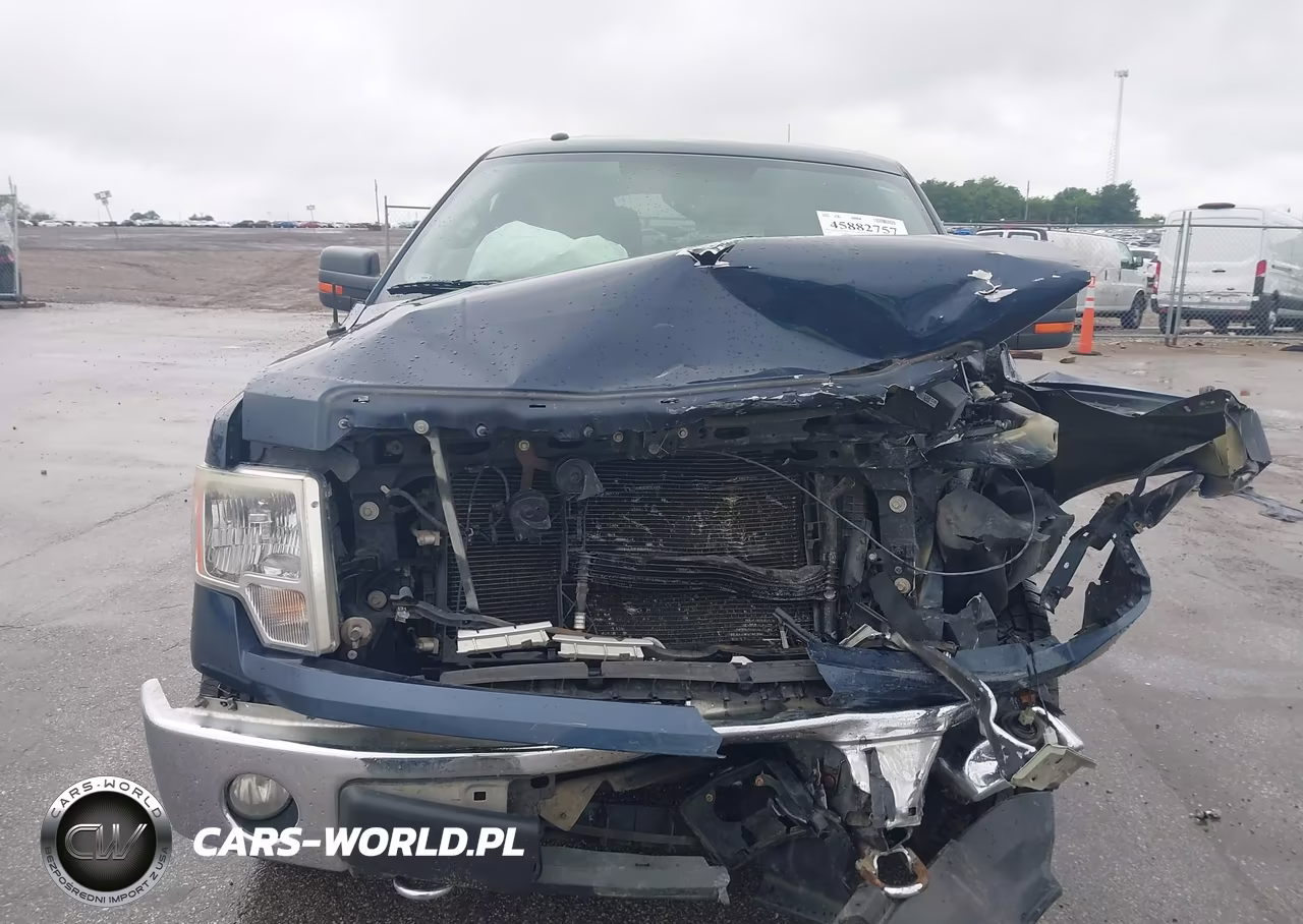 2013 Ford F-150 Xlt VIN:1FTFW1EF5DKE43542 - 12