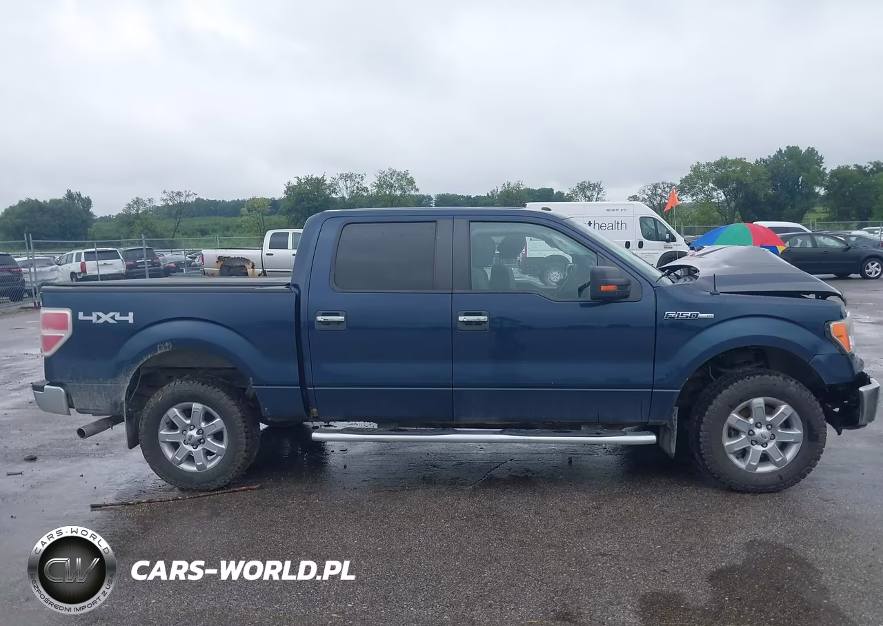 2013 Ford F-150 Xlt VIN:1FTFW1EF5DKE43542 - 13