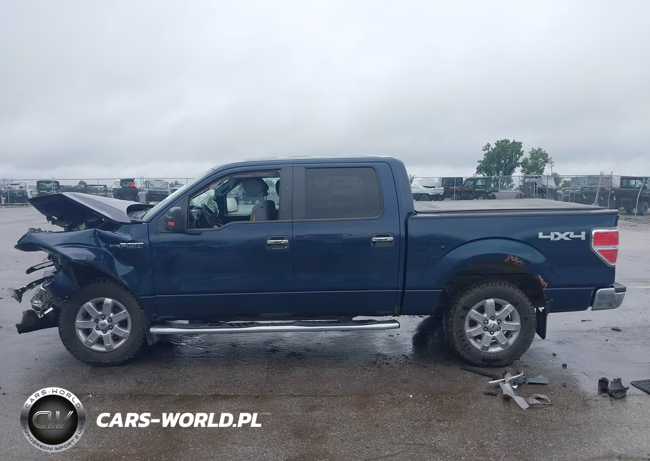 2013 Ford F-150 Xlt VIN:1FTFW1EF5DKE43542 - 14