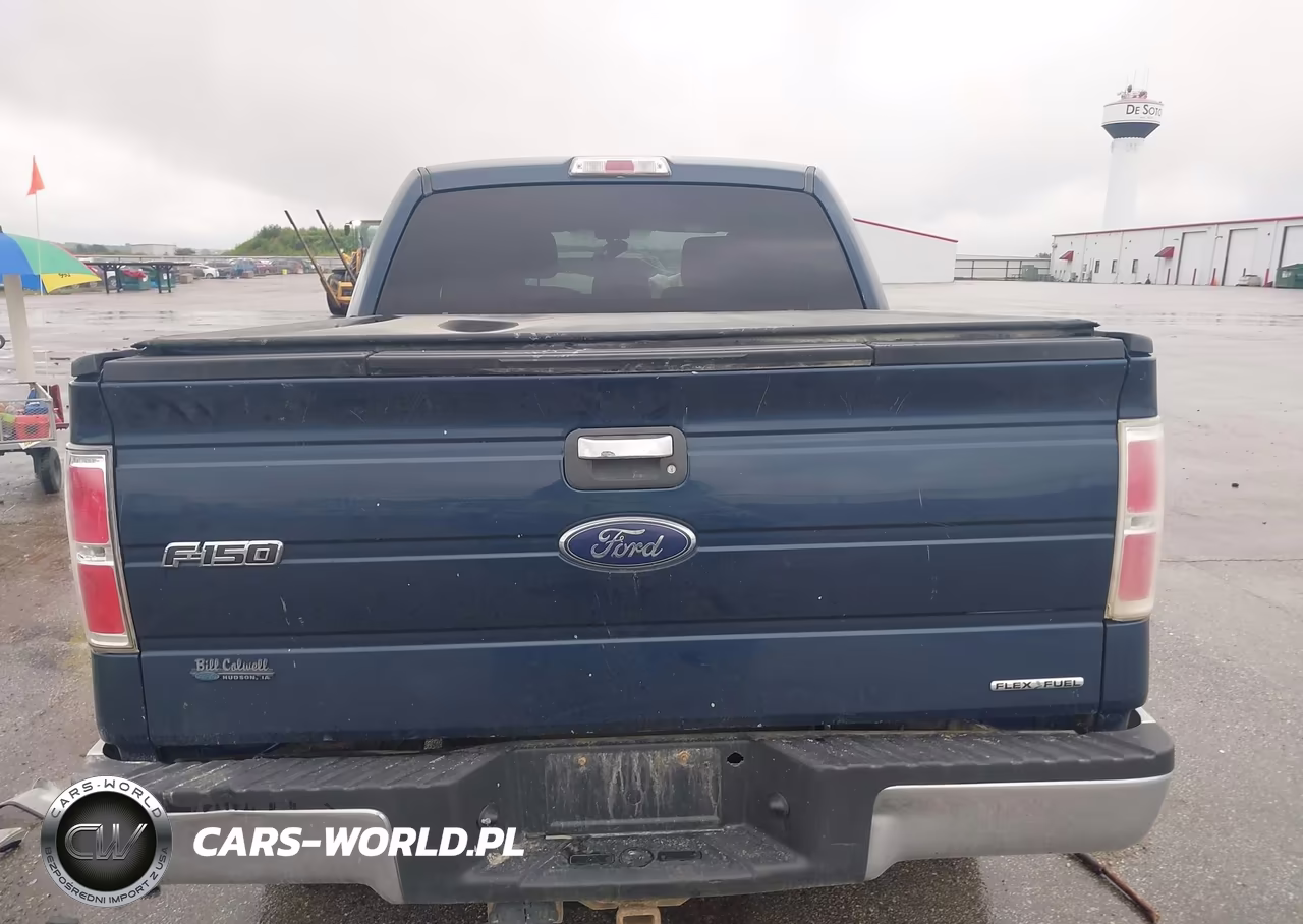 2013 Ford F-150 Xlt VIN:1FTFW1EF5DKE43542 - 16