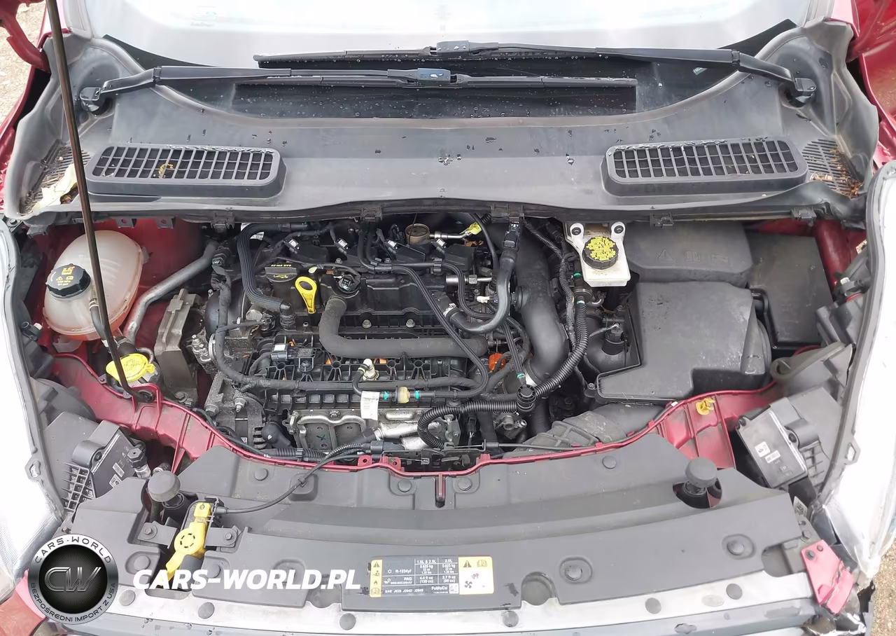 2019 Ford Escape Sel VIN:1FMCU9HD9KUB96850 - 10