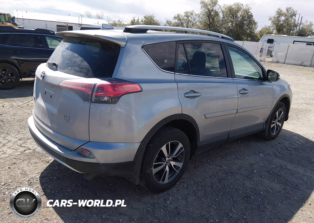 2016 Toyota Rav4 Xle VIN:2T3RFREV4GW411602 - 4