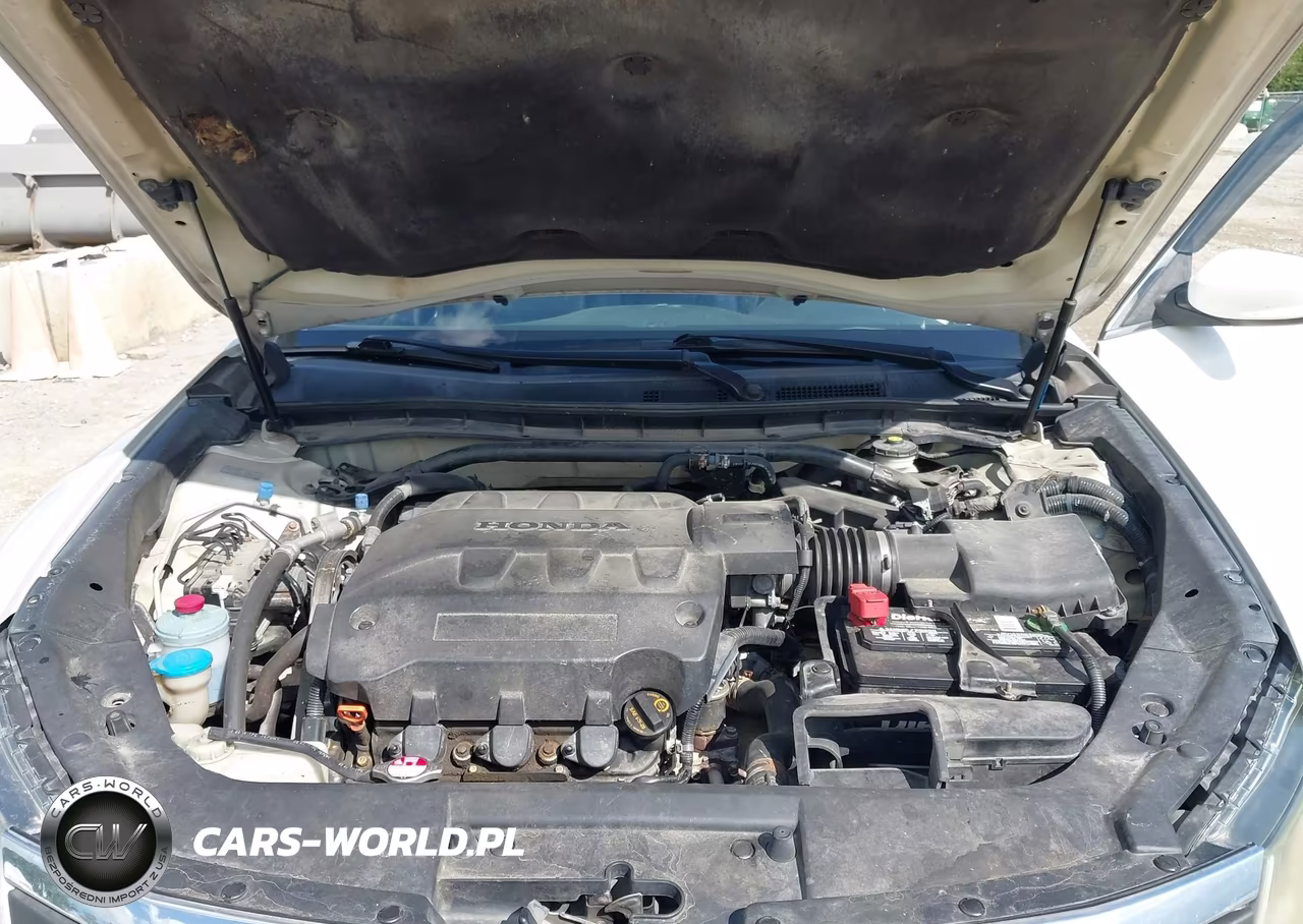 2010 Honda Accord Crosstour Ex-L VIN:5J6TF2H59AL014254 - 10