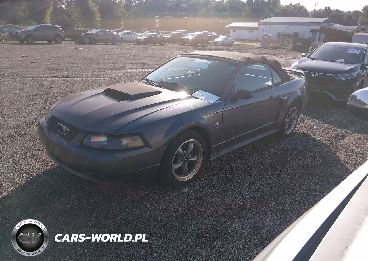 2004 Ford Mustang Gt VIN:1FAFP45X34F129197 - 2
