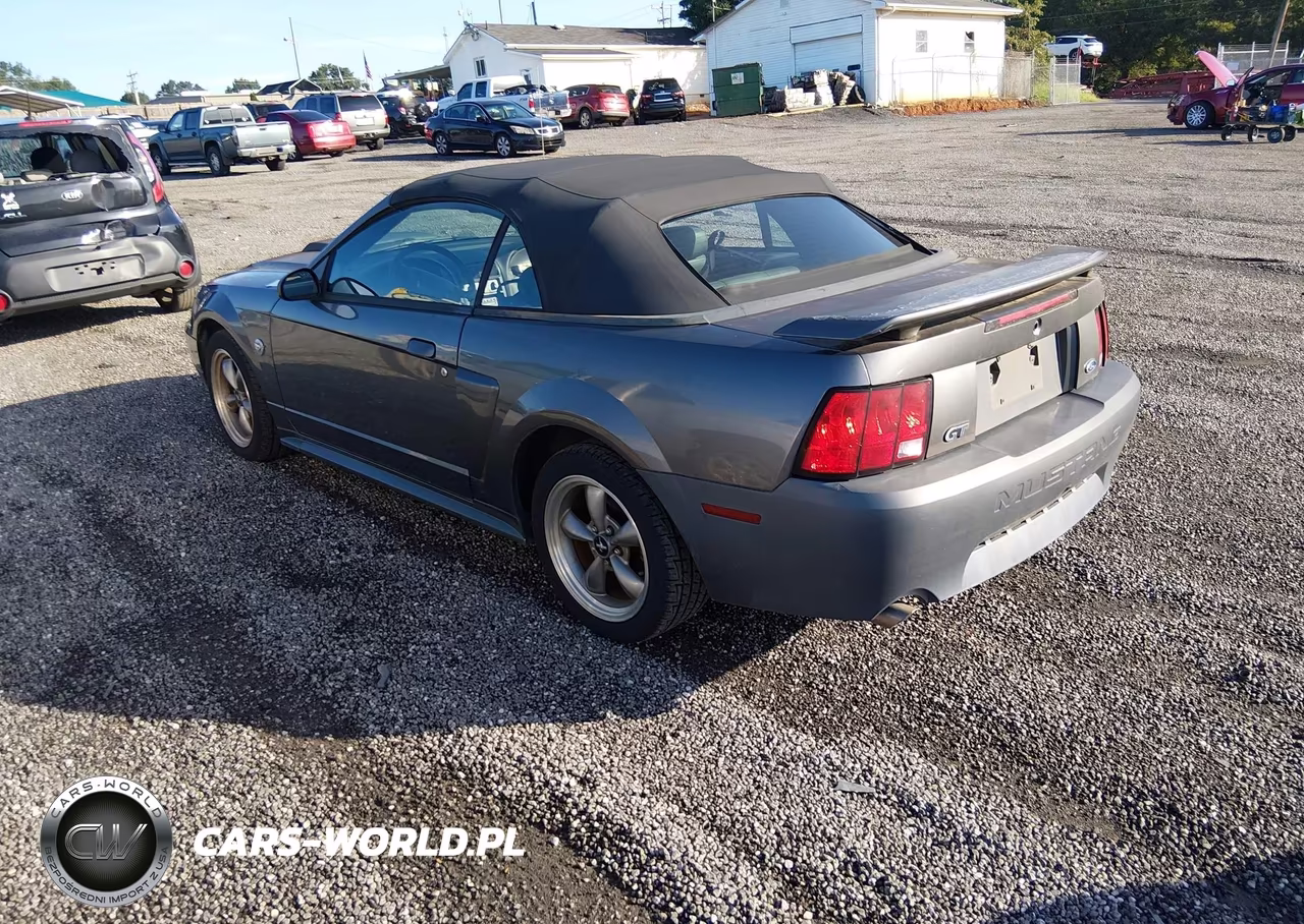 2004 Ford Mustang Gt VIN:1FAFP45X34F129197 - 3