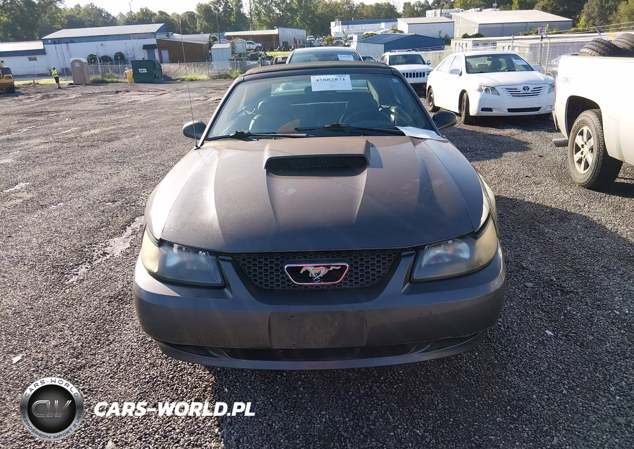 2004 Ford Mustang Gt VIN:1FAFP45X34F129197 - 6