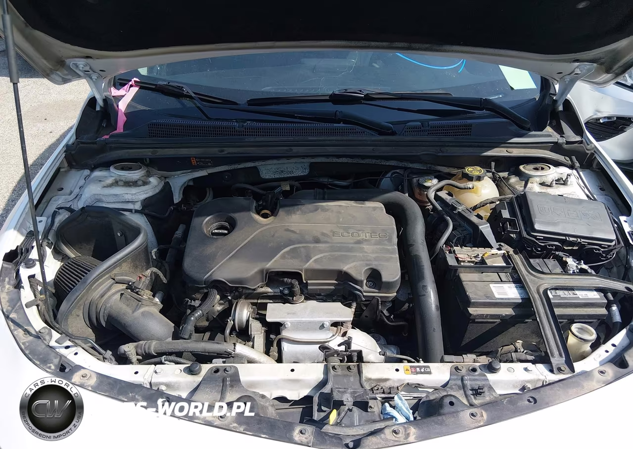 2019 Chevrolet Malibu Lt VIN:1G1ZD5ST8KF135610 - 10