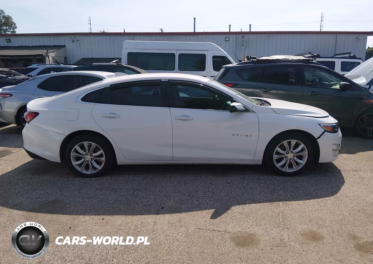 2019 Chevrolet Malibu Lt VIN:1G1ZD5ST8KF135610 - 13