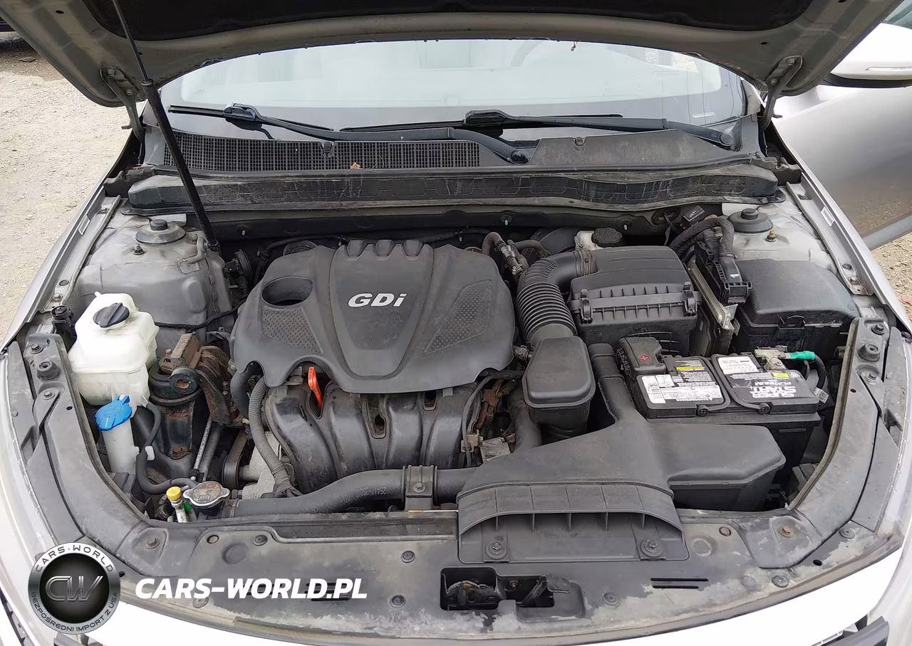 2014 Kia Optima Lx VIN:5XXGM4A79EG320204 - 10