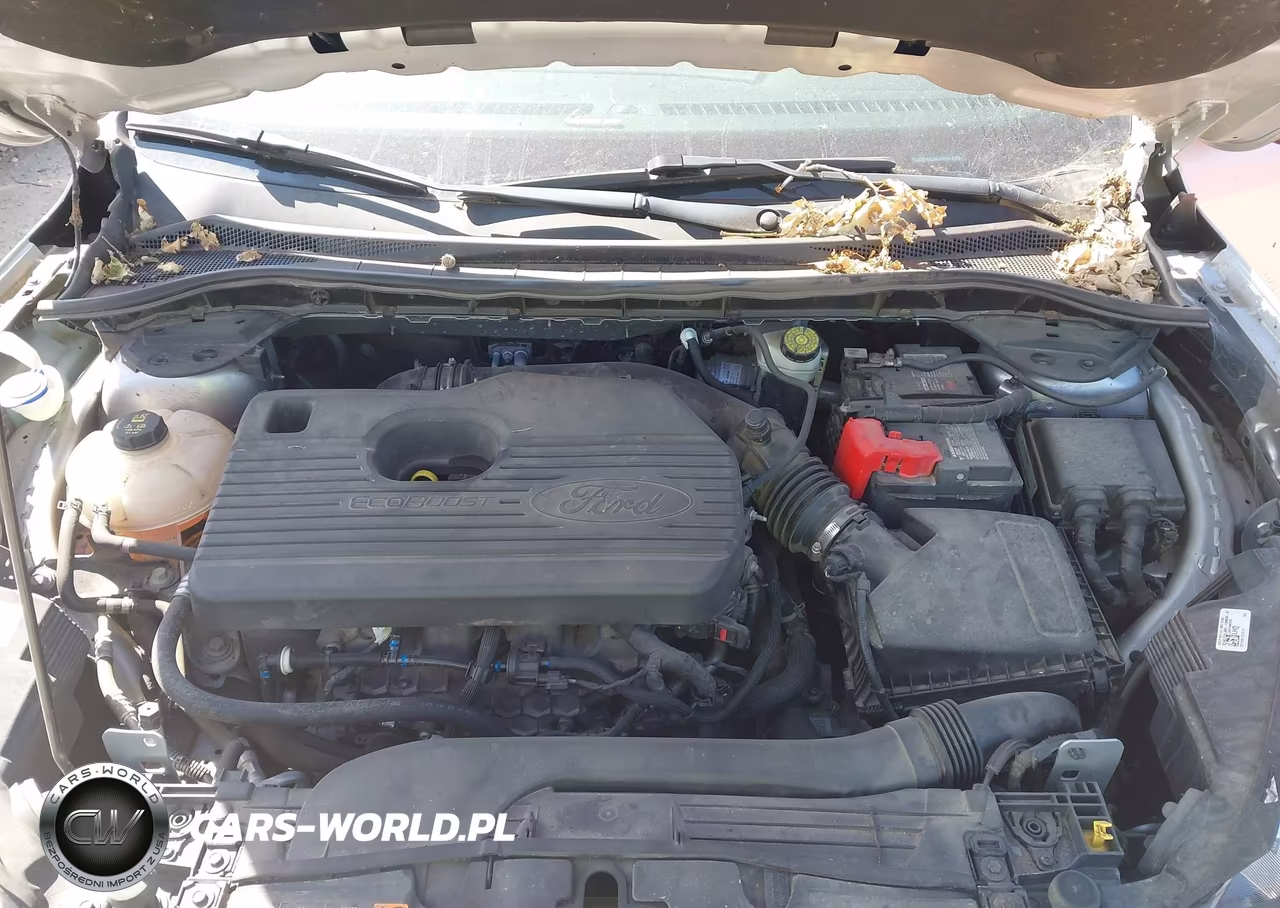 2020 Ford Escape Sel VIN:1FMCU9H9XLUB29090 - 10