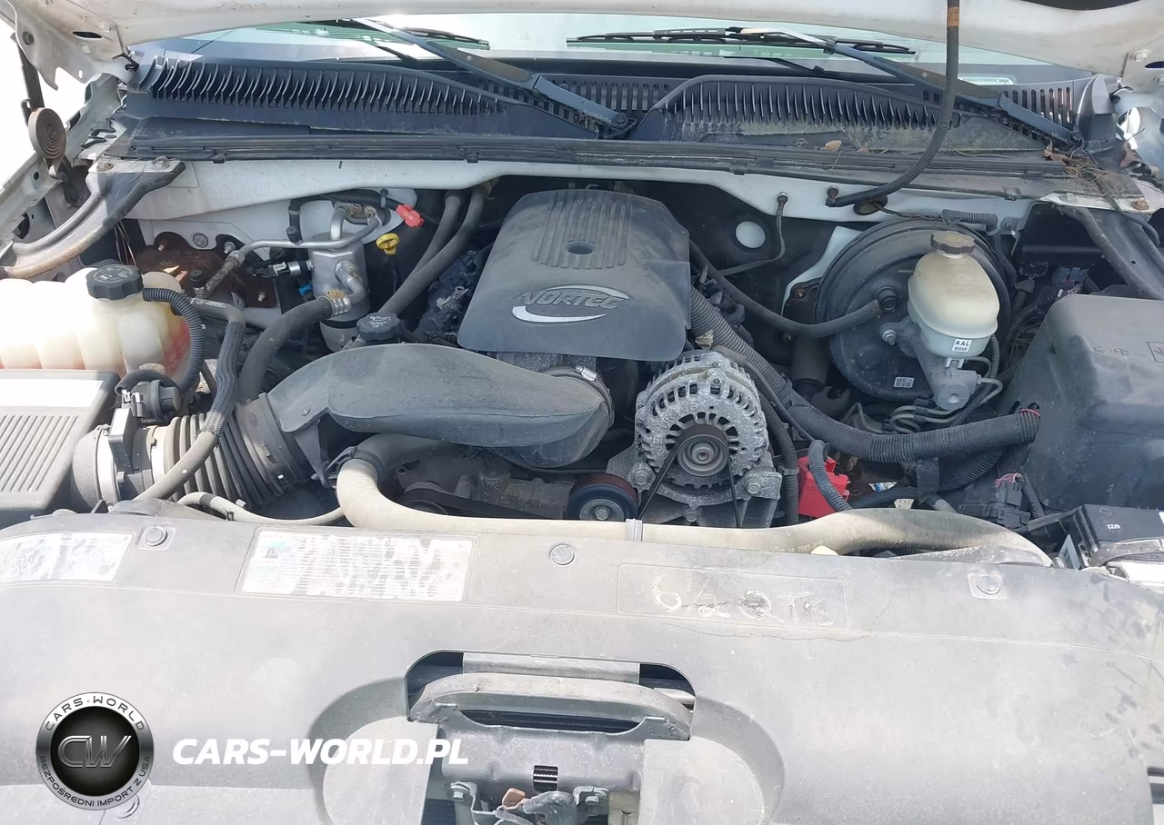 2005 Chevrolet Silverado 1500 Work Truck VIN:1GCEK19V65E230981 - 10