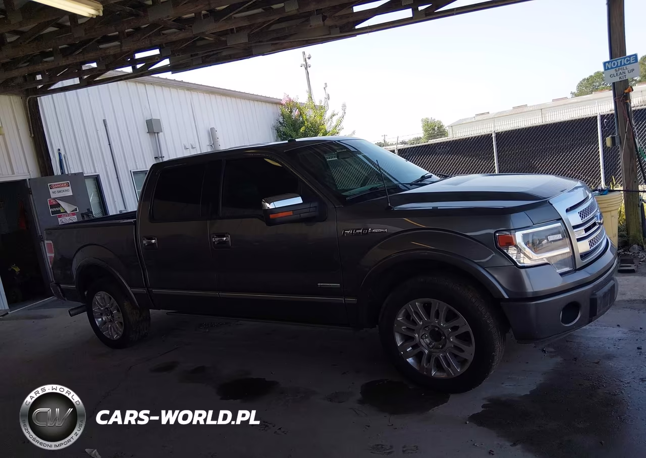 2013 Ford F-150 Platinum VIN:1FTFW1CT3DFC32633 - 13