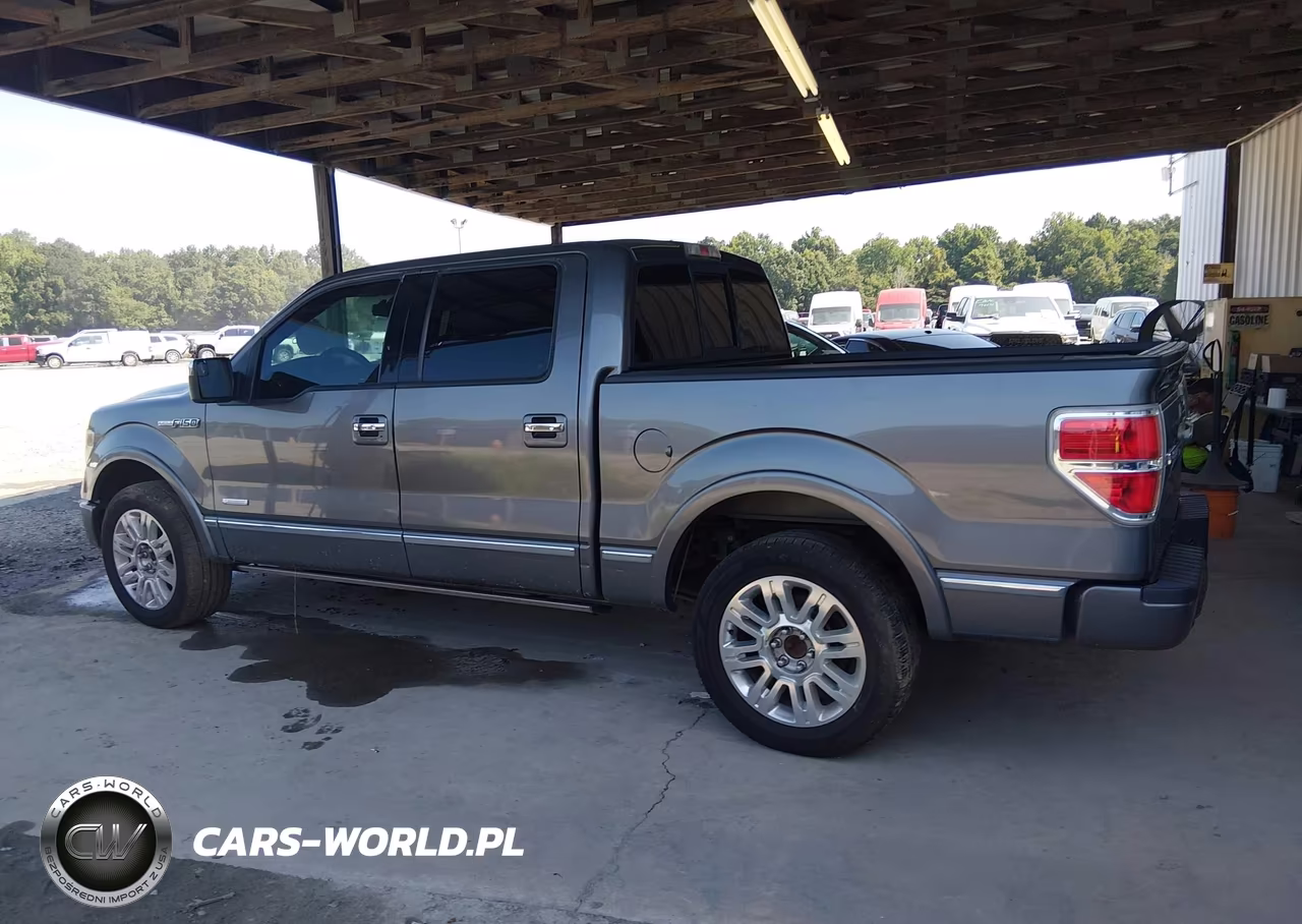 2013 Ford F-150 Platinum VIN:1FTFW1CT3DFC32633 - 14