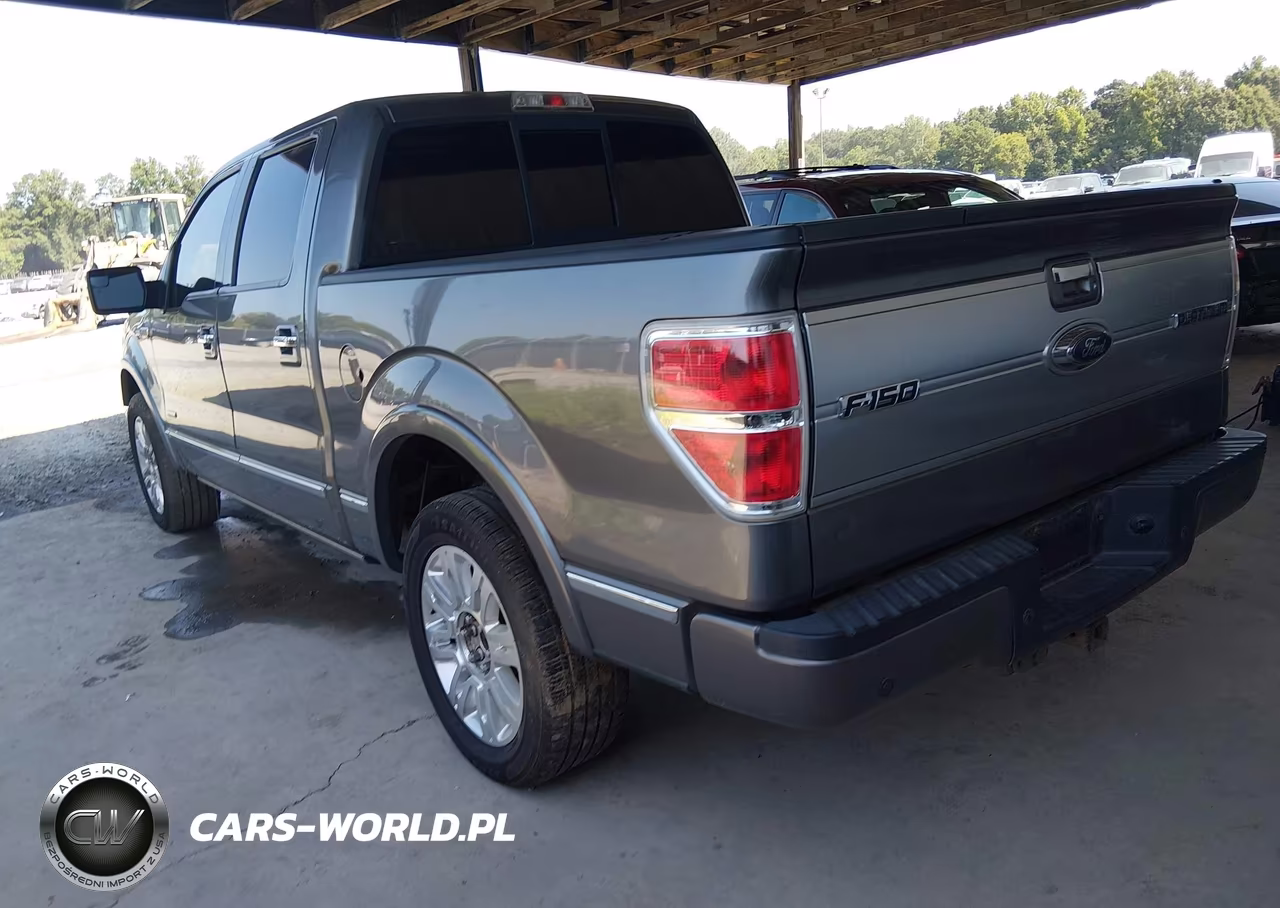 2013 Ford F-150 Platinum VIN:1FTFW1CT3DFC32633 - 3
