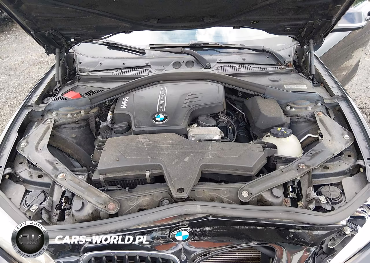 2016 BMW 228I xDrive VIN:WBA1L9C58GV325299 - 10