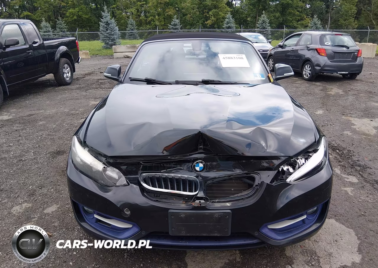 2016 BMW 228I xDrive VIN:WBA1L9C58GV325299 - 13