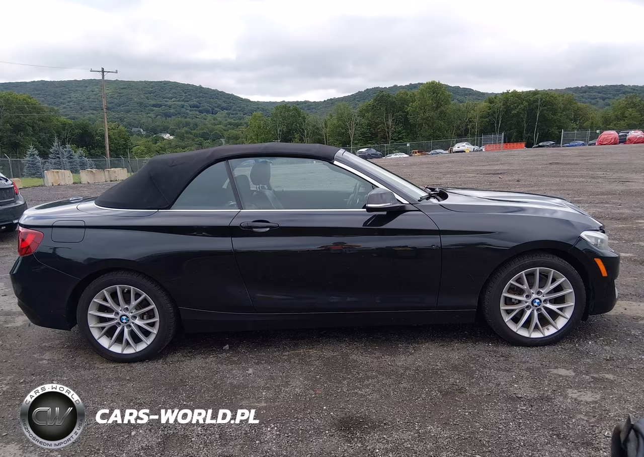 2016 BMW 228I xDrive VIN:WBA1L9C58GV325299 - 14