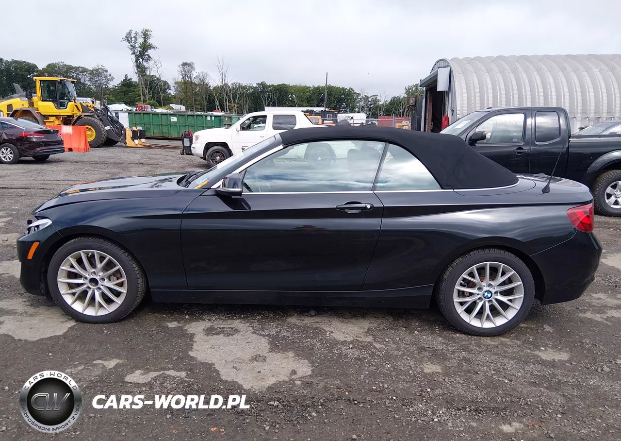2016 BMW 228I xDrive VIN:WBA1L9C58GV325299 - 15