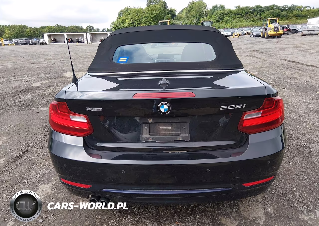 2016 BMW 228I xDrive VIN:WBA1L9C58GV325299 - 17