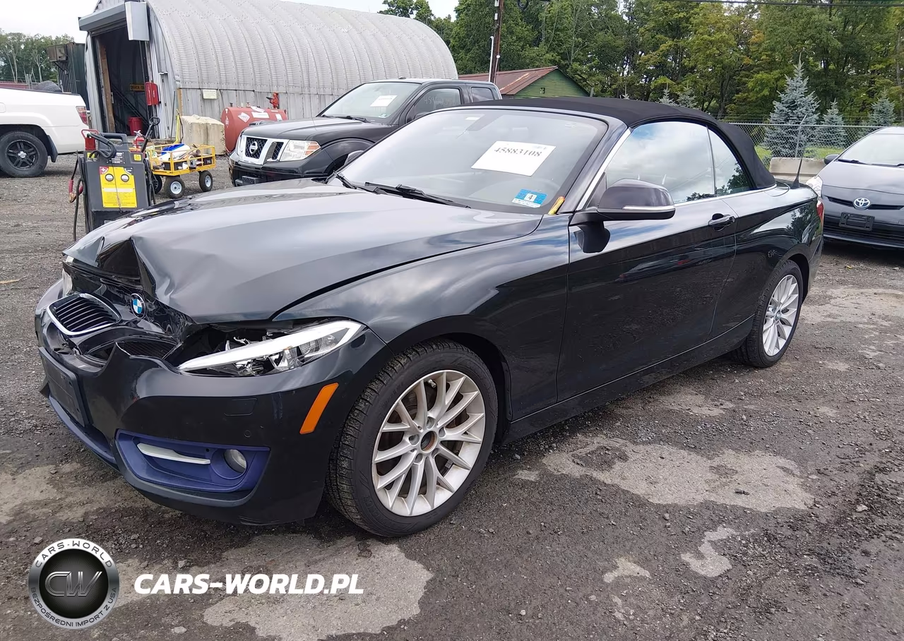 2016 BMW 228I xDrive VIN:WBA1L9C58GV325299 - 2