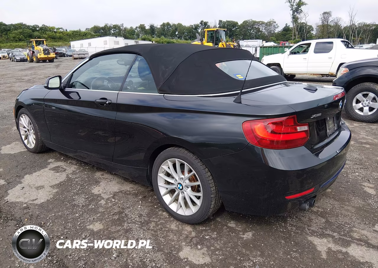 2016 BMW 228I xDrive VIN:WBA1L9C58GV325299 - 3