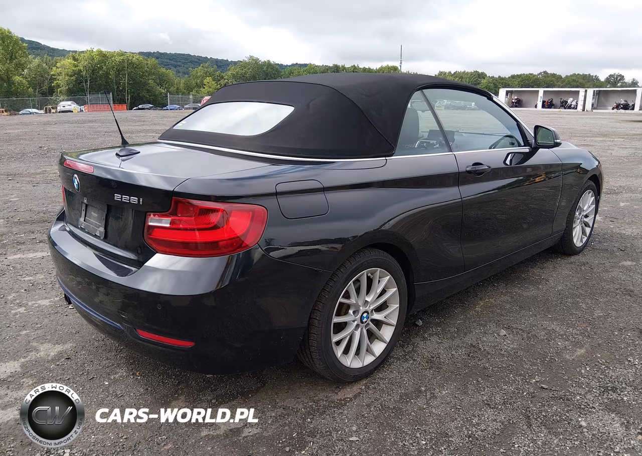 2016 BMW 228I xDrive VIN:WBA1L9C58GV325299 - 4