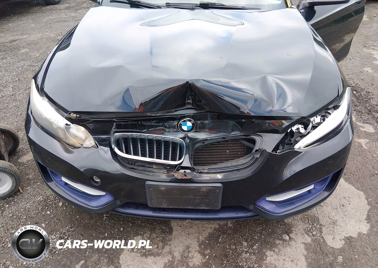 2016 BMW 228I xDrive VIN:WBA1L9C58GV325299 - 6