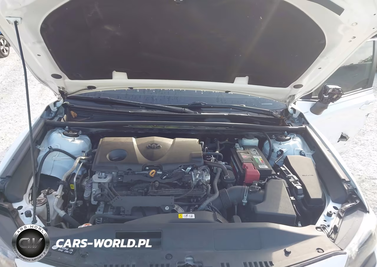 2021 Toyota Camry Se VIN:4T1G11AK2MU569847 - 10