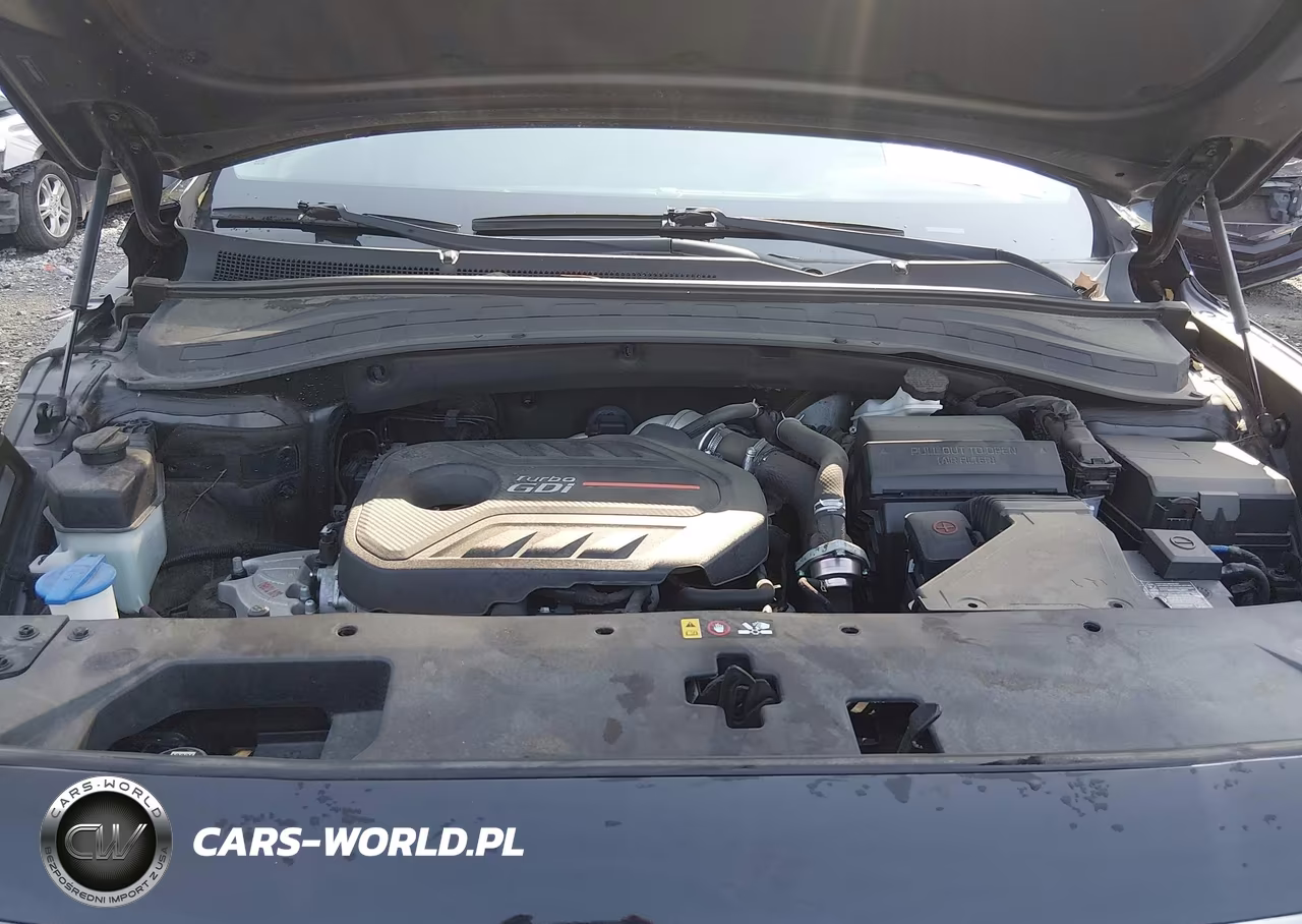 2019 Hyundai Santa Fe Limited 2.0T VIN:5NMS53AA8KH129397 - 10