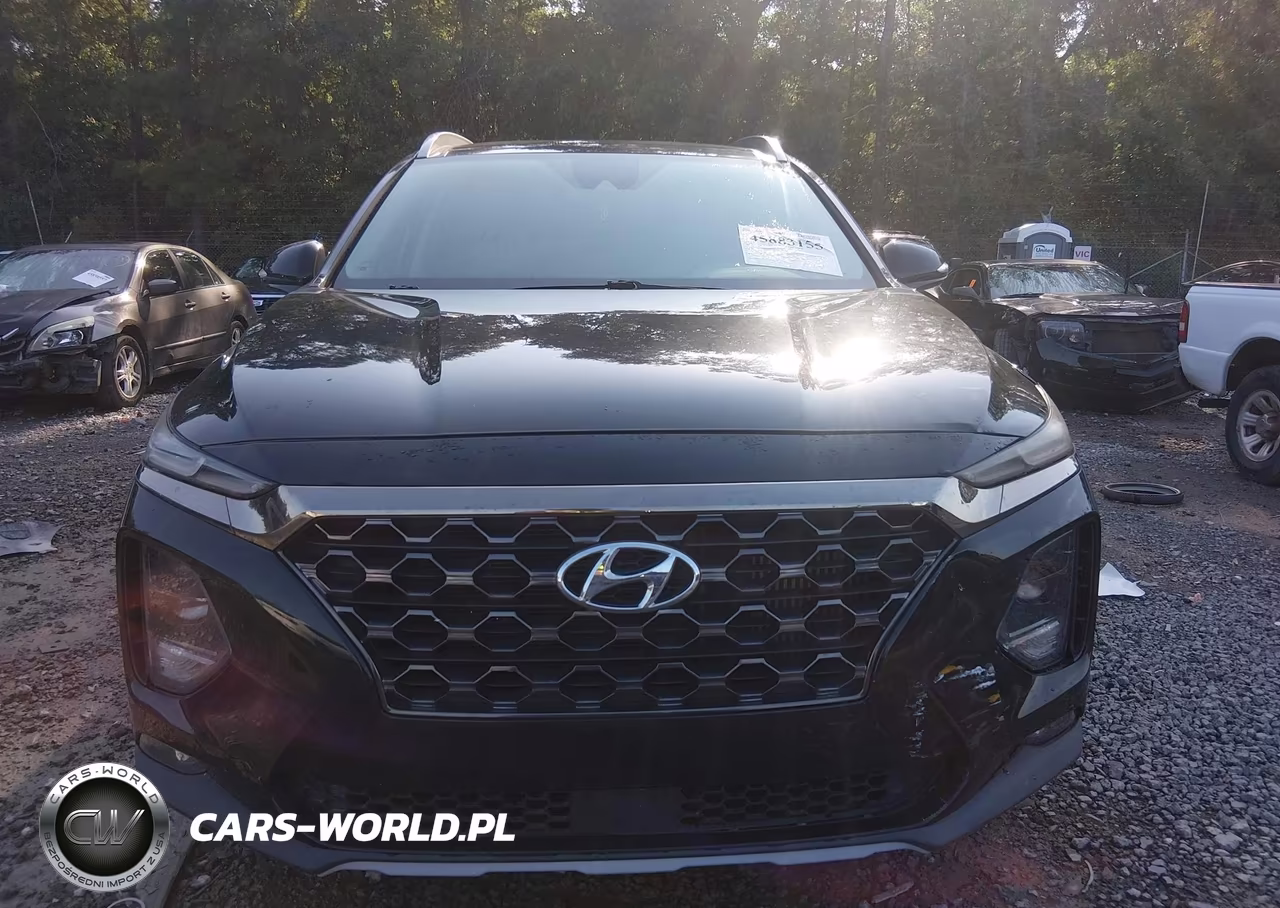 2019 Hyundai Santa Fe Limited 2.0T VIN:5NMS53AA8KH129397 - 12
