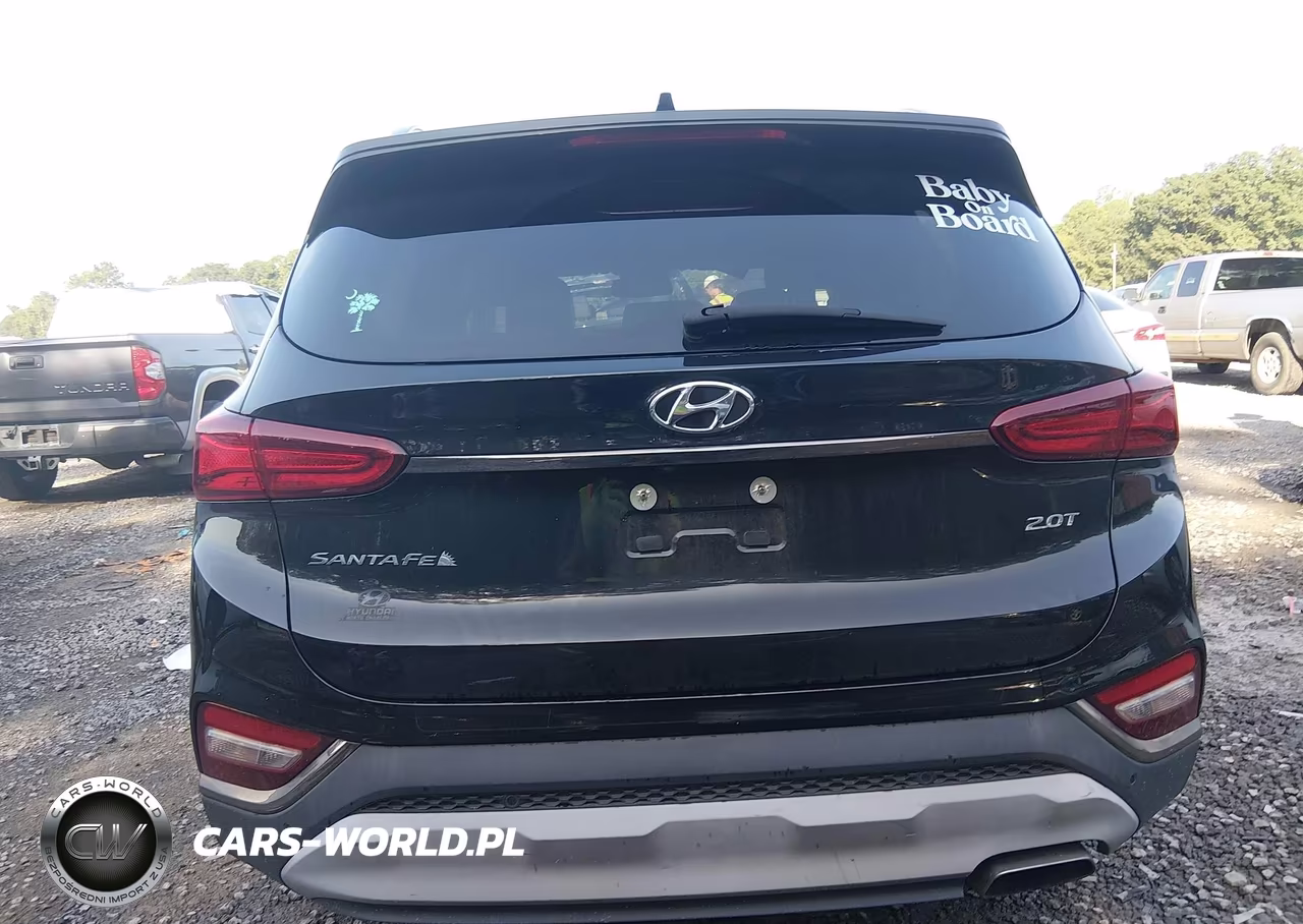 2019 Hyundai Santa Fe Limited 2.0T VIN:5NMS53AA8KH129397 - 16