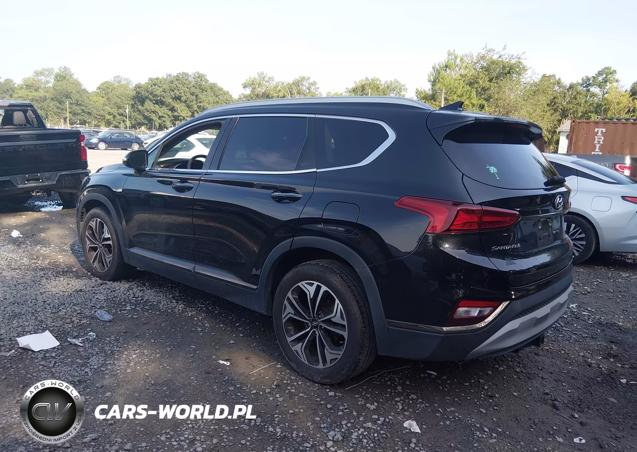 2019 Hyundai Santa Fe Limited 2.0T VIN:5NMS53AA8KH129397 - 3