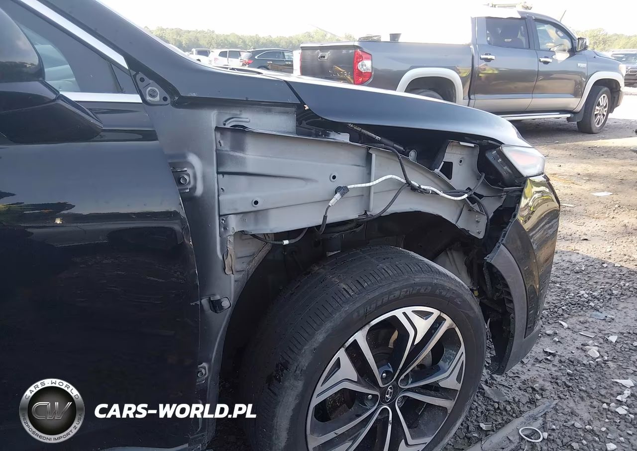2019 Hyundai Santa Fe Limited 2.0T VIN:5NMS53AA8KH129397 - 6