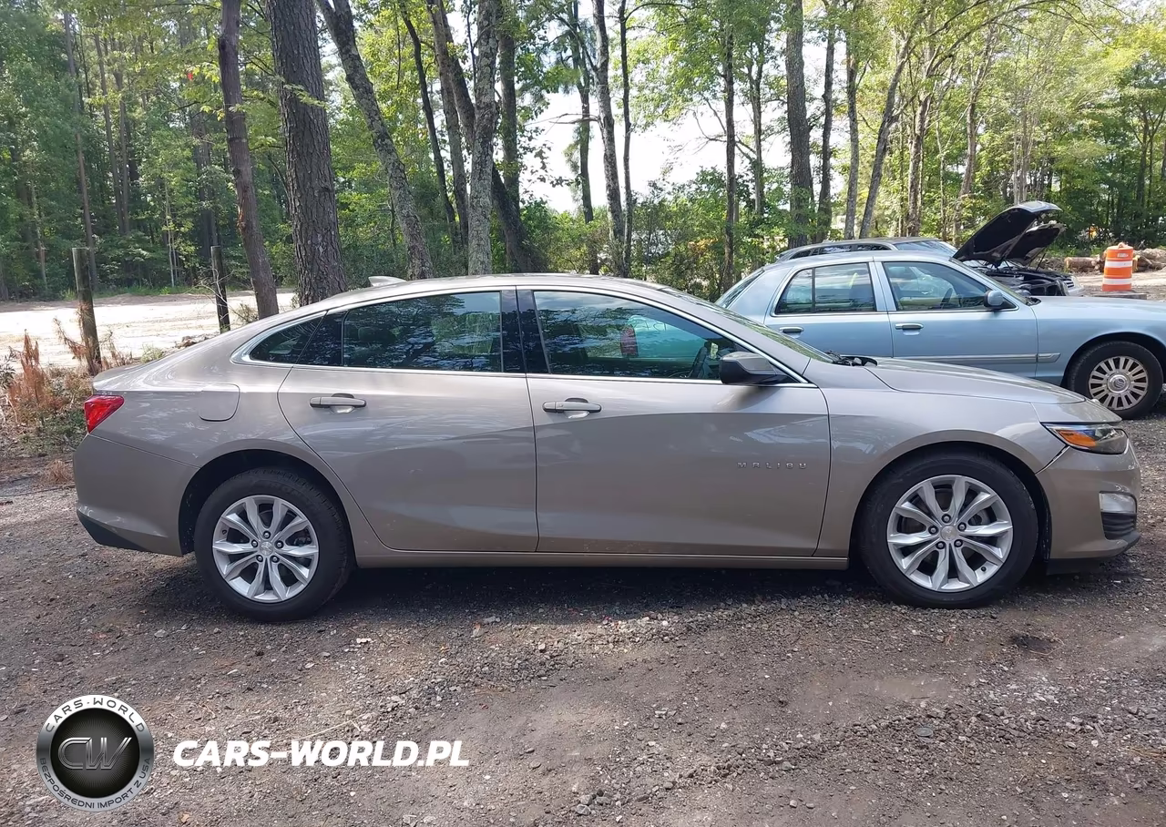 2024 Chevrolet Malibu Fwd 1Lt VIN:1G1ZD5ST1RF106783 - 13