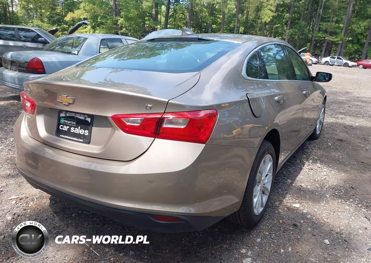 2024 Chevrolet Malibu Fwd 1Lt VIN:1G1ZD5ST1RF106783 - 4