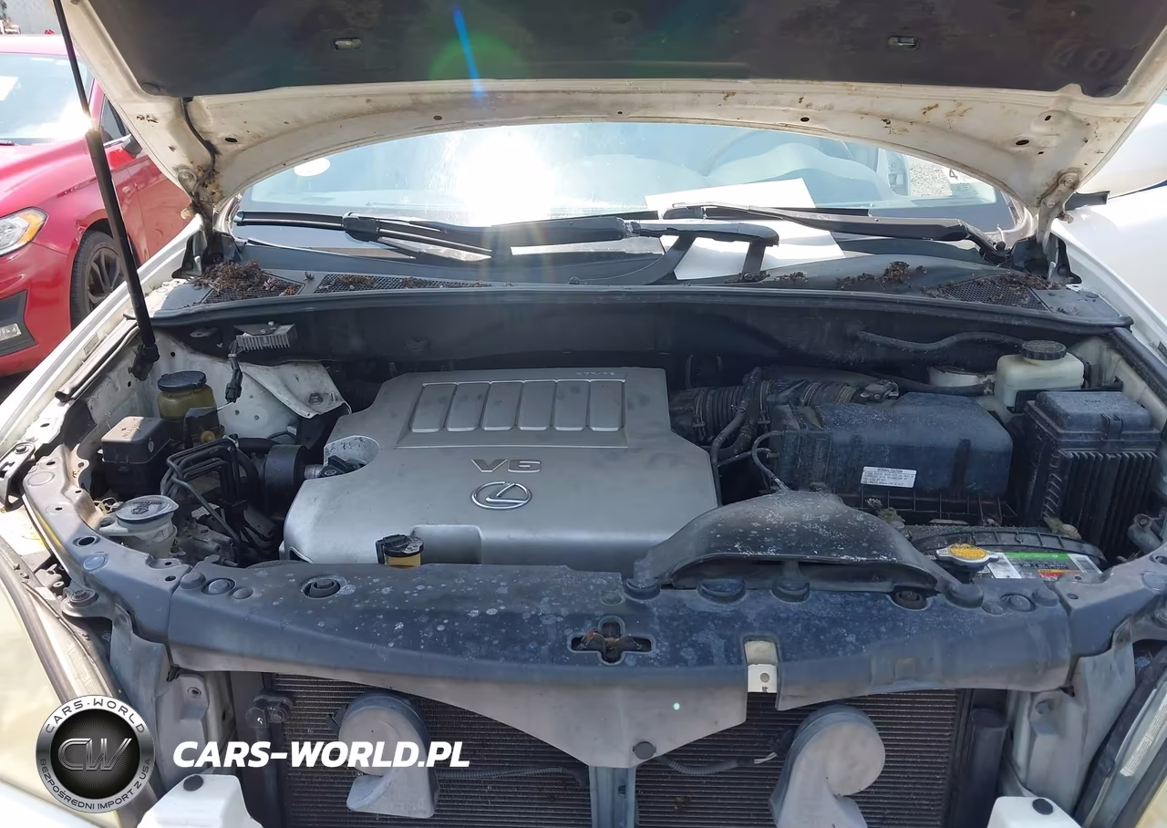 2007 Lexus Rx 350 VIN:2T2GK31U47C015611 - 10