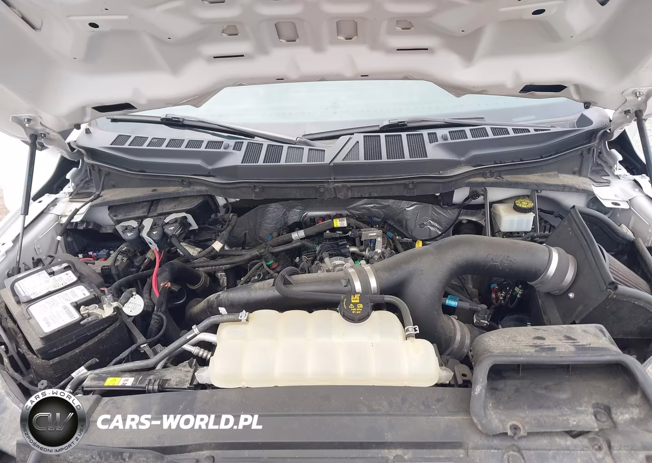 2021 Ford F-150 Xl VIN:1FTEW1EP4MFA07701 - 10