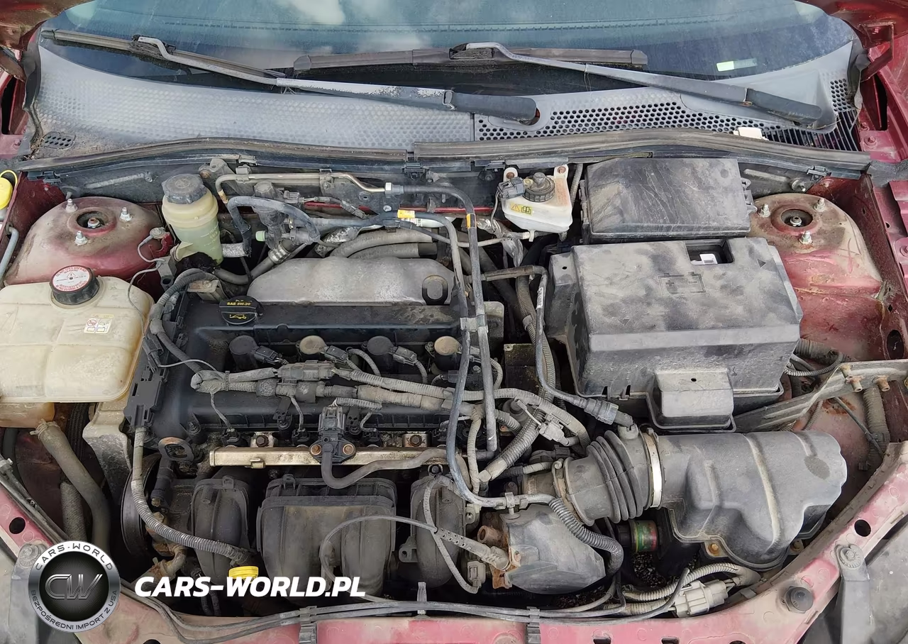 2005 Ford Focus Zx3 VIN:3FAFP31N95R124301 - 10