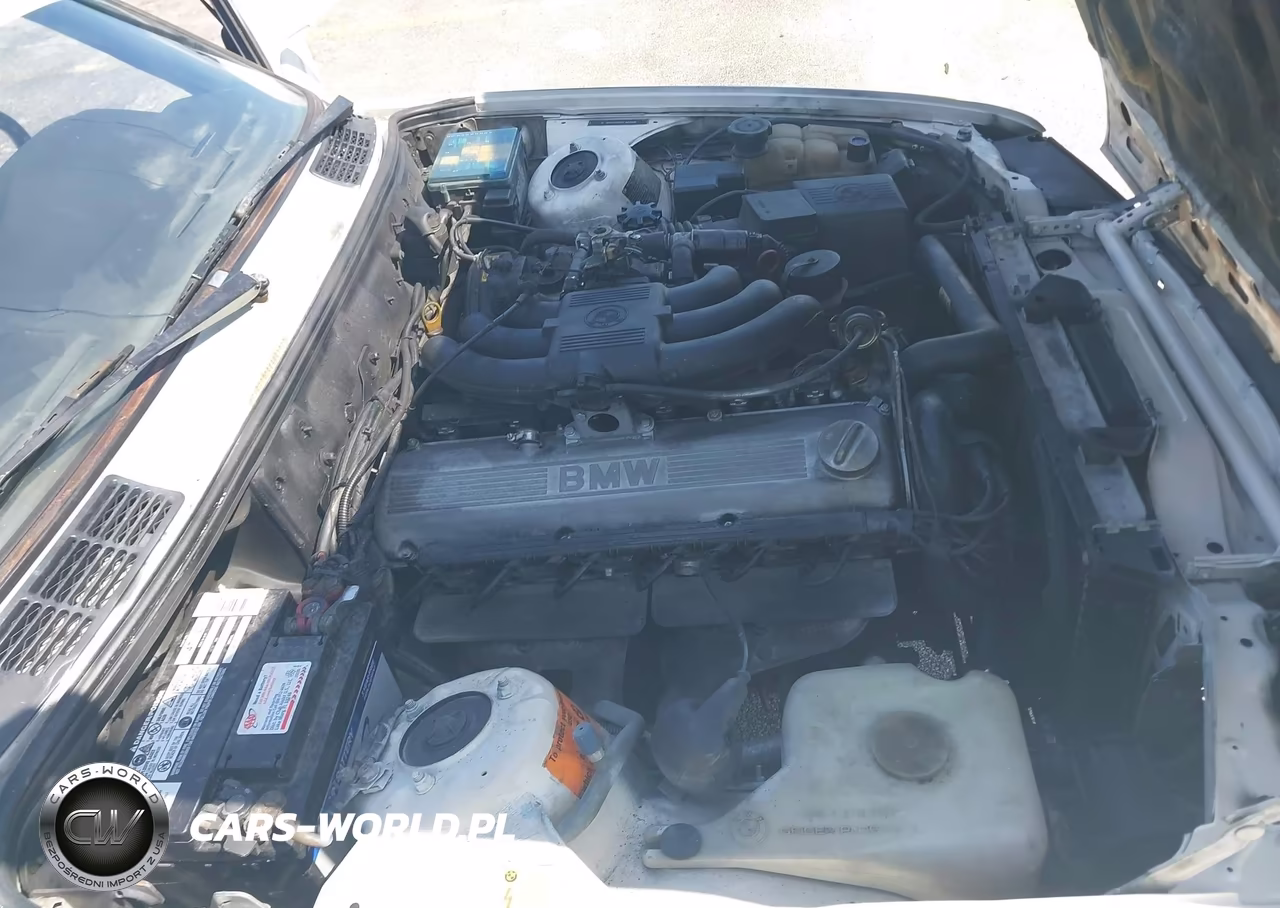 1989 BMW 325 I Automatic VIN:WBABB2306K8862022 - 10