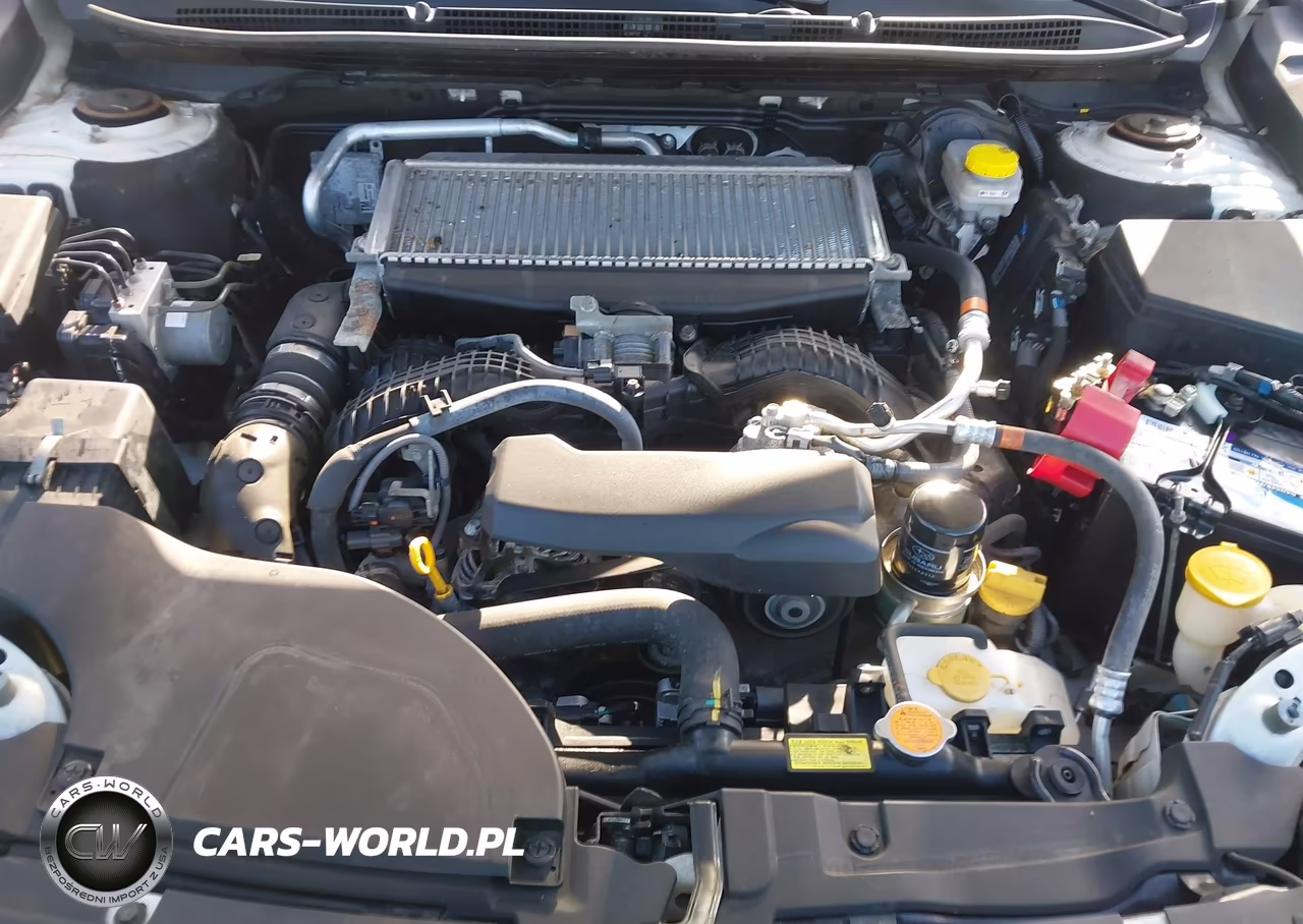 2024 Subaru Outback Wilderness VIN:4S4BTGUD6R3222233 - 10