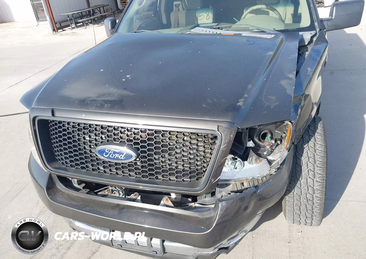 2005 Ford F-150 Stx-Xl-Xlt VIN:1FTRX12W45FA89652 - 18