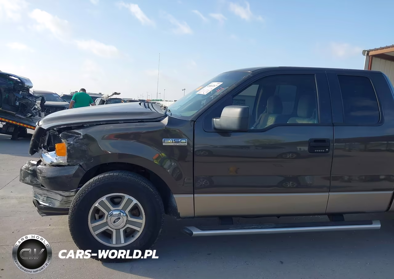 2005 Ford F-150 Stx-Xl-Xlt VIN:1FTRX12W45FA89652 - 6