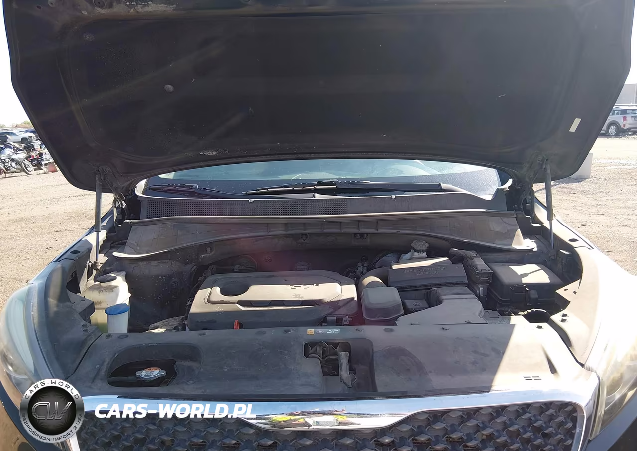 2017 Kia Sorento 2.4L L VIN:5XYPG4A32HG265437 - 10