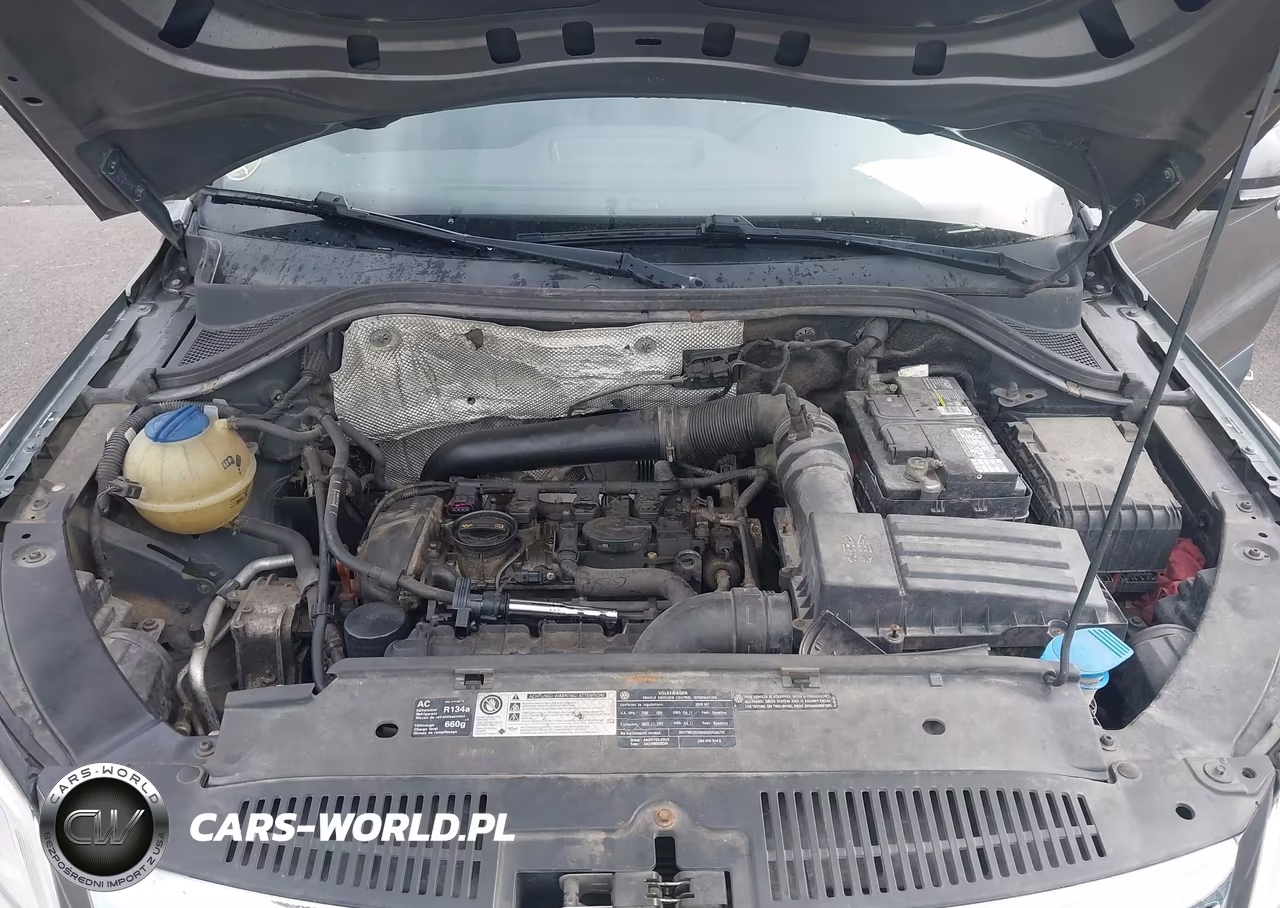 2010 Volkswagen Tiguan Wolfsburg Edition VIN:WVGBV7AX4AW517925 - 10