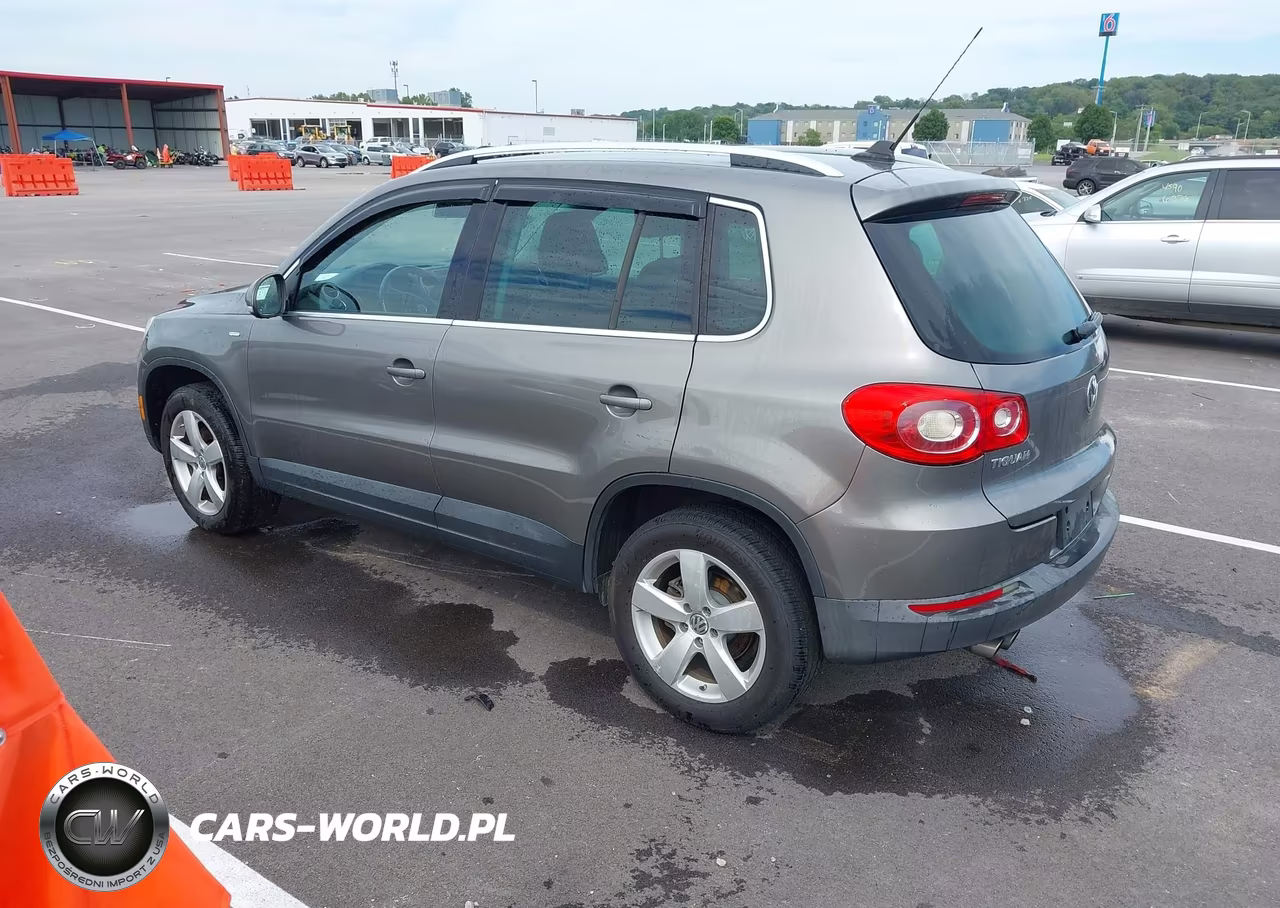 2010 Volkswagen Tiguan Wolfsburg Edition VIN:WVGBV7AX4AW517925 - 3