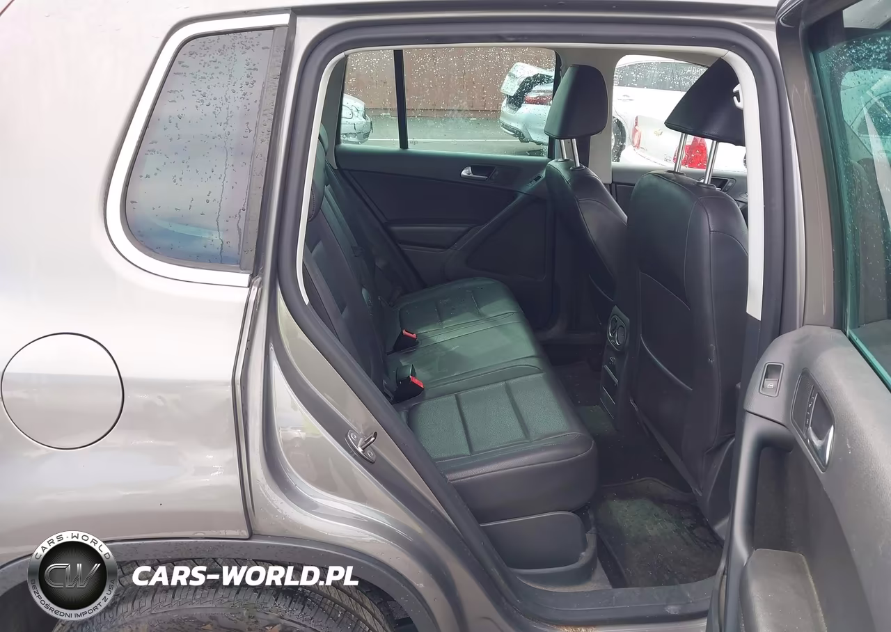 2010 Volkswagen Tiguan Wolfsburg Edition VIN:WVGBV7AX4AW517925 - 8