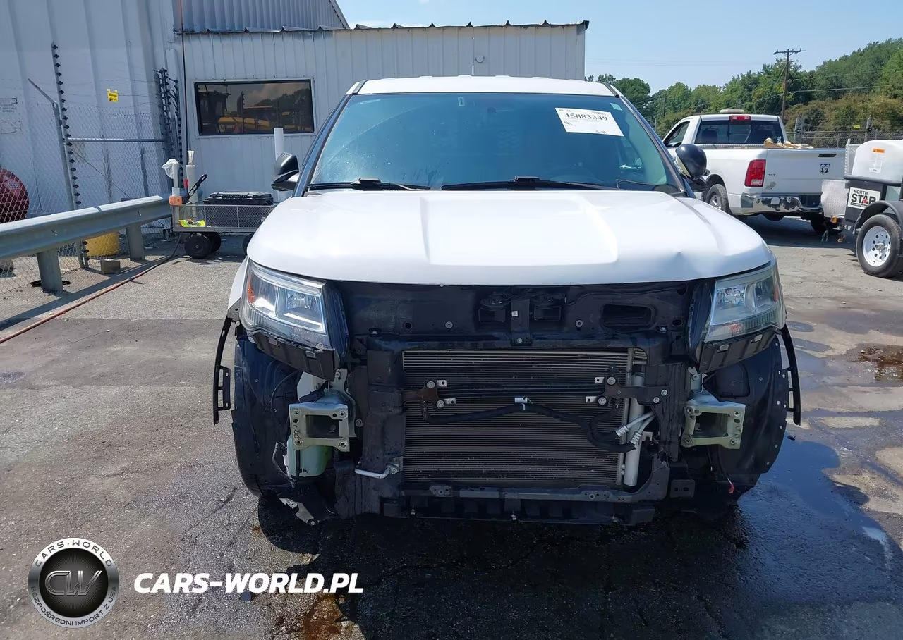 2019 Ford Police Interceptor Utility VIN:1FM5K8AR3KGB14091 - 12