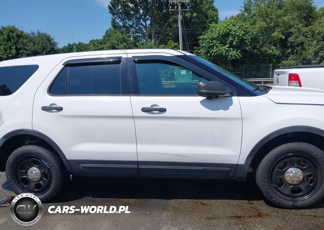 2019 Ford Police Interceptor Utility VIN:1FM5K8AR3KGB14091 - 13